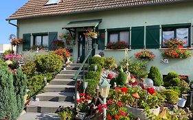 le nid fleuri de Cravanche